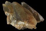 Dogtooth Calcite Crystal Cluster - Morocco #96833-1